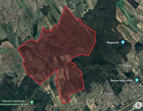 Szombaton ismét erdőlátogatási korlátozások lesznek Lovasberény, Sukoró és Nadap környékén